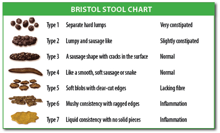 bristol-stool-chart-1.jpg